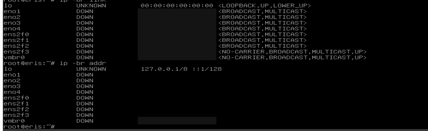 The iLO console: eight network ports, all DOWN; the bridge vmbr0 sits on ens2f3, which reports NO-CARRIER